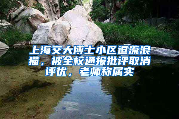 上海交大博士小區(qū)逗流浪貓，被全校通報批評取消評優(yōu)，老師稱屬實