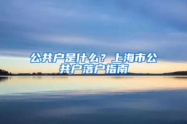 公共戶是什么？上海市公共戶落戶指南