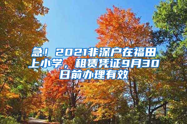 急！2021非深戶在福田上小學，租賃憑證9月30日前辦理有效