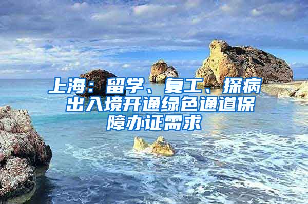 上海：留學、復工、探病 出入境開通綠色通道保障辦證需求