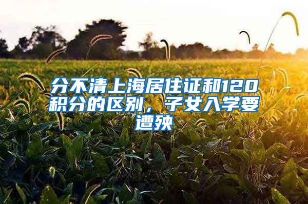 分不清上海居住證和120積分的區(qū)別，子女入學(xué)要遭殃