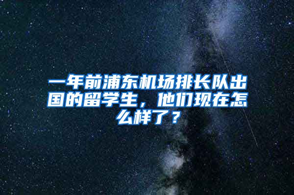 一年前浦東機(jī)場(chǎng)排長(zhǎng)隊(duì)出國(guó)的留學(xué)生，他們現(xiàn)在怎么樣了？