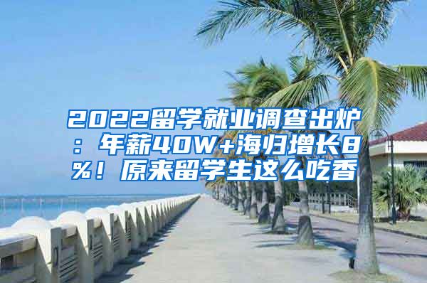 2022留學(xué)就業(yè)調(diào)查出爐：年薪40W+海歸增長8%！原來留學(xué)生這么吃香