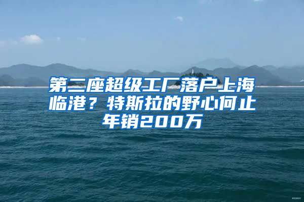 第二座超級(jí)工廠落戶上海臨港？特斯拉的野心何止年銷200萬