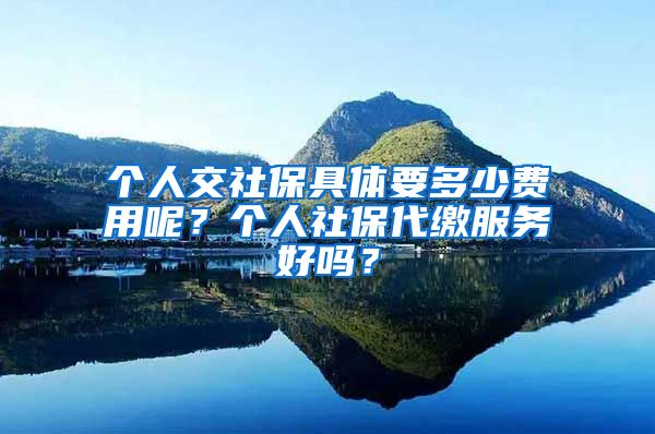 個(gè)人交社保具體要多少費(fèi)用呢？個(gè)人社保代繳服務(wù)好嗎？