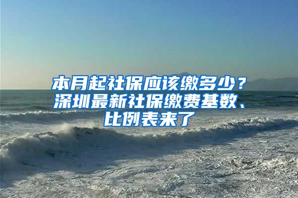 本月起社保應該繳多少？深圳最新社保繳費基數(shù)、比例表來了