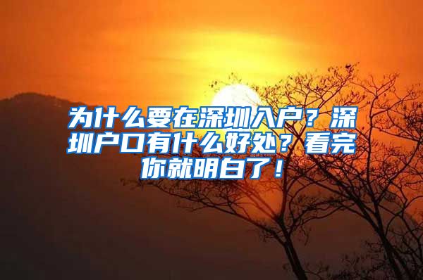 為什么要在深圳入戶(hù)？深圳戶(hù)口有什么好處？看完你就明白了！