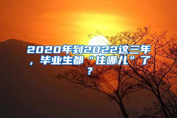 2020年到2022這三年，畢業(yè)生都“住哪兒”了？