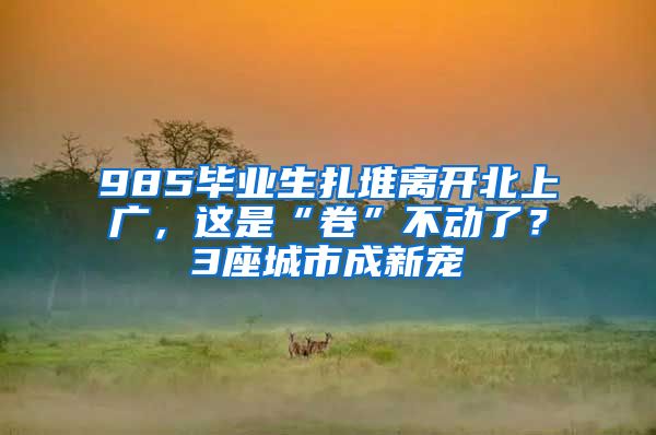 985畢業(yè)生扎堆離開北上廣，這是“卷”不動了？3座城市成新寵