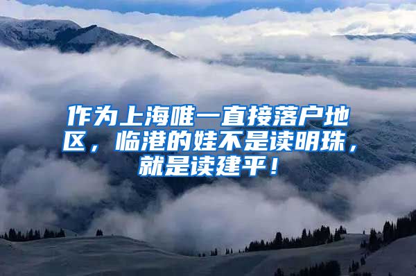 作為上海唯一直接落戶地區(qū)，臨港的娃不是讀明珠，就是讀建平！