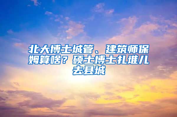 北大博士城管、建筑師保姆算啥？碩士博士扎堆兒去縣城