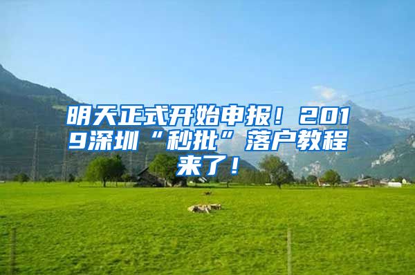 明天正式開始申報(bào)！2019深圳“秒批”落戶教程來了！