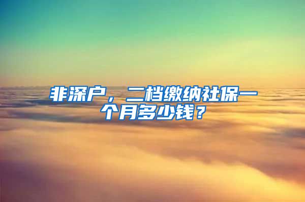 非深戶，二檔繳納社保一個(gè)月多少錢(qián)？