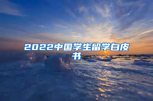 2022中國(guó)學(xué)生留學(xué)白皮書(shū)