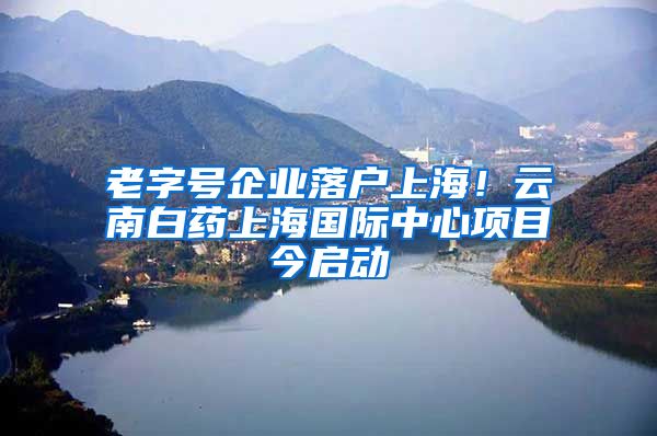 老字號企業(yè)落戶上海！云南白藥上海國際中心項目今啟動