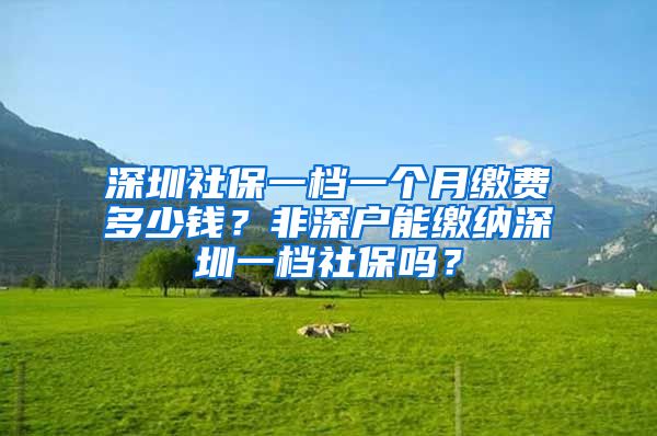 深圳社保一檔一個(gè)月繳費(fèi)多少錢？非深戶能繳納深圳一檔社保嗎？