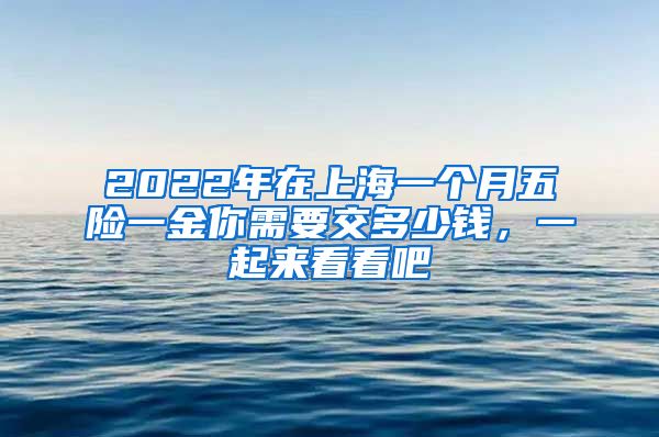 2022年在上海一個(gè)月五險(xiǎn)一金你需要交多少錢，一起來看看吧