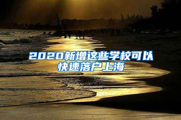 2020新增這些學(xué)?？梢钥焖俾鋺羯虾?/></p>
			 <p style=