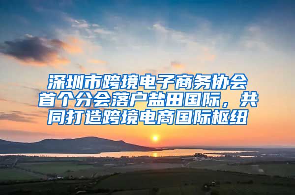 深圳市跨境電子商務(wù)協(xié)會(huì)首個(gè)分會(huì)落戶鹽田國(guó)際，共同打造跨境電商國(guó)際樞紐