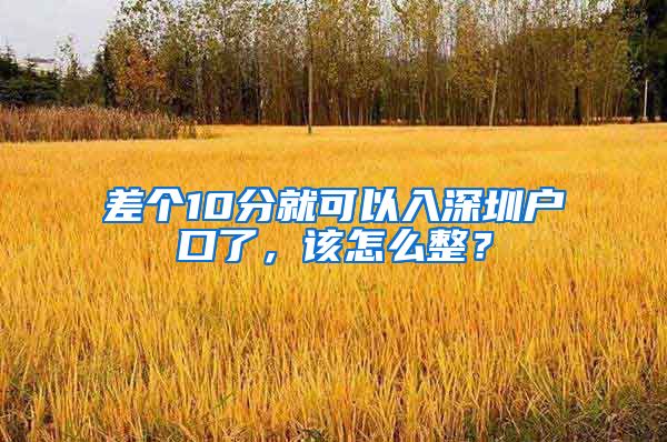 差個10分就可以入深圳戶口了，該怎么整？