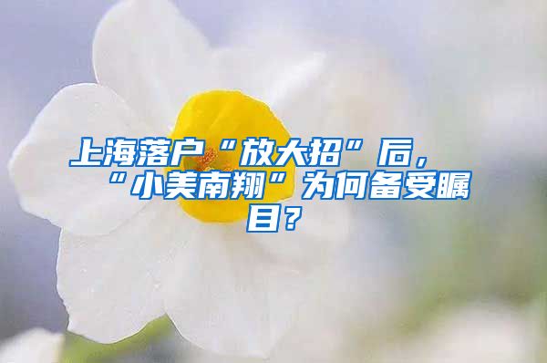 上海落戶“放大招”后，“小美南翔”為何備受矚目？