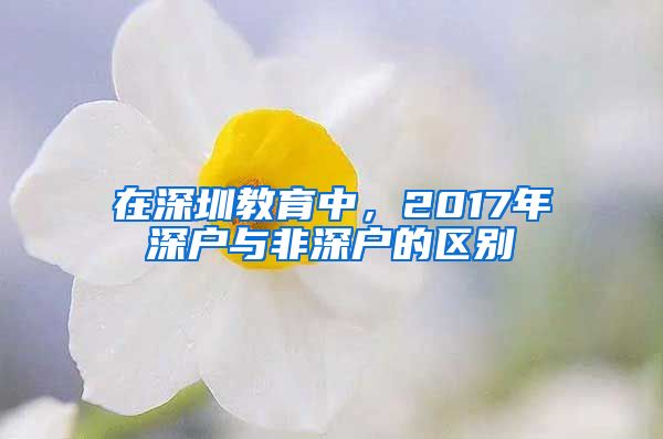 在深圳教育中，2017年深戶與非深戶的區(qū)別