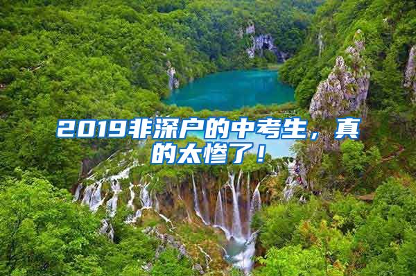 2019非深戶(hù)的中考生，真的太慘了！