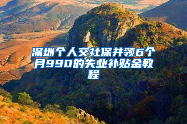 深圳個(gè)人交社保并領(lǐng)6個(gè)月990的失業(yè)補(bǔ)貼金教程