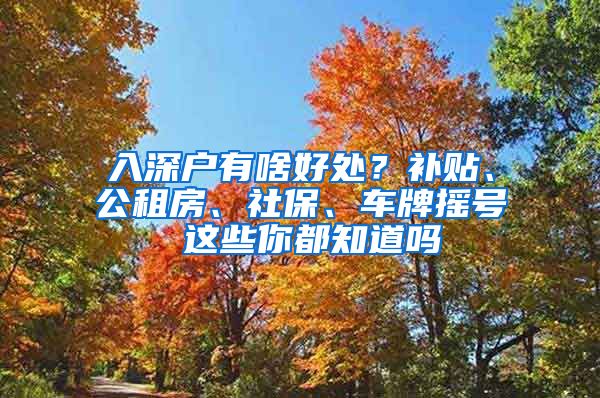 入深戶有啥好處？補(bǔ)貼、公租房、社保、車牌搖號(hào) 這些你都知道嗎