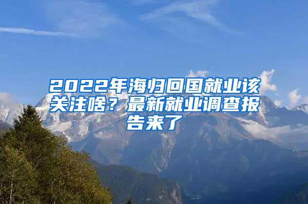 2022年海歸回國就業(yè)該關(guān)注啥？最新就業(yè)調(diào)查報告來了