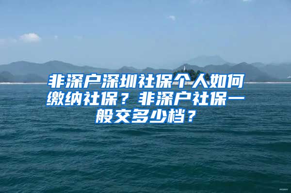 非深戶深圳社保個(gè)人如何繳納社保？非深戶社保一般交多少檔？