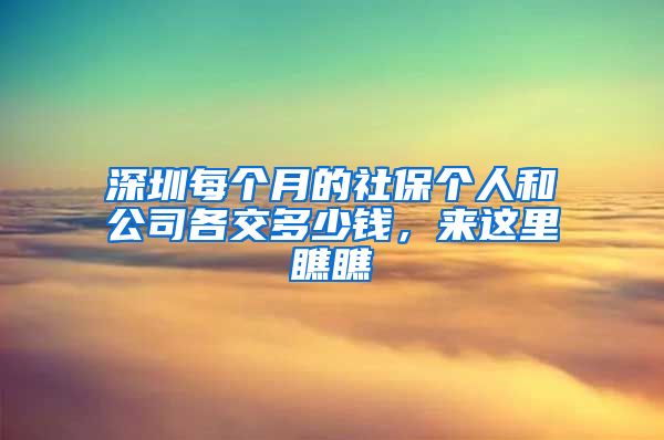 深圳每個月的社保個人和公司各交多少錢，來這里瞧瞧