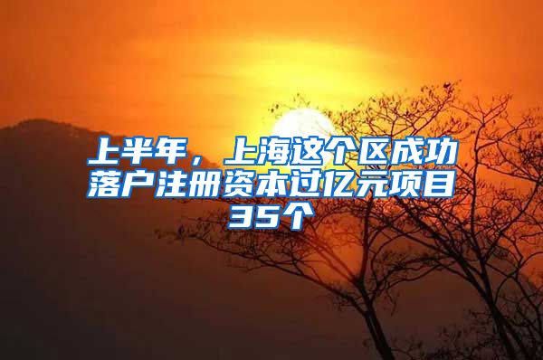 上半年，上海這個區(qū)成功落戶注冊資本過億元項目35個