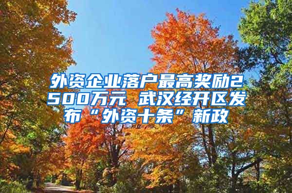 外資企業(yè)落戶最高獎勵2500萬元 武漢經開區(qū)發(fā)布“外資十條”新政