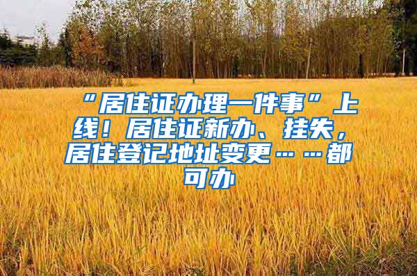 “居住證辦理一件事”上線！居住證新辦、掛失，居住登記地址變更……都可辦