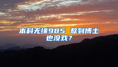 本科無緣985 熬到博士也沒戲？