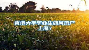 香港大學(xué)畢業(yè)生如何落戶上海？