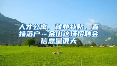 人才公寓、就業(yè)補(bǔ)貼、直接落戶…金山這場招聘會信息量很大