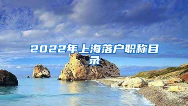 2022年上海落戶職稱目錄