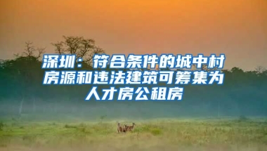 深圳：符合條件的城中村房源和違法建筑可籌集為人才房公租房