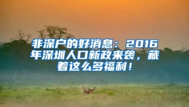 非深戶的好消息：2016年深圳人口新政來襲，藏著這么多福利！