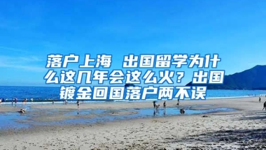 落戶上海 出國留學(xué)為什么這幾年會這么火？出國鍍金回國落戶兩不誤