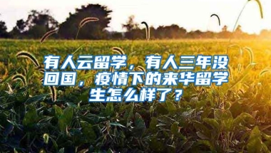 有人云留學(xué)，有人三年沒(méi)回國(guó)，疫情下的來(lái)華留學(xué)生怎么樣了？