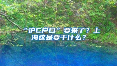 “滬C戶口”要來了？上海這是要干什么？