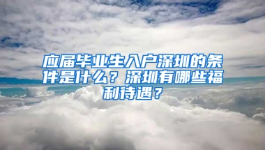 應(yīng)屆畢業(yè)生入戶深圳的條件是什么？深圳有哪些福利待遇？