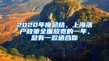 2020年度總結(jié)，上海落戶政策全面放寬的一年，總有一款適合你