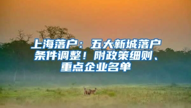 上海落戶：五大新城落戶條件調(diào)整！附政策細(xì)則、重點企業(yè)名單