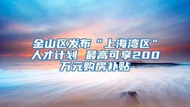 金山區(qū)發(fā)布“上海灣區(qū)”人才計(jì)劃 最高可享200萬元購房補(bǔ)貼