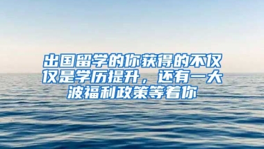 出國留學的你獲得的不僅僅是學歷提升，還有一大波福利政策等著你