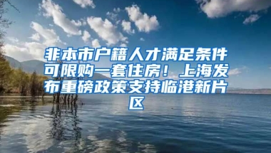 非本市戶籍人才滿足條件可限購一套住房！上海發(fā)布重磅政策支持臨港新片區(qū)